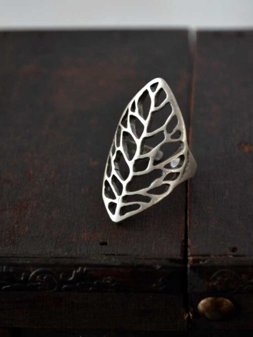 Anillo Cevin