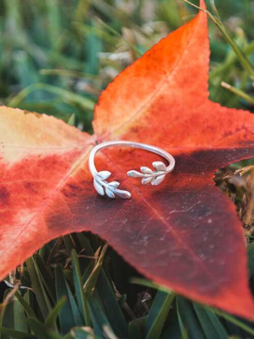 Anillo Hervé