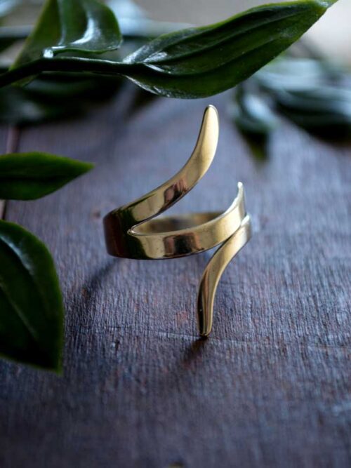 Anillo Duane