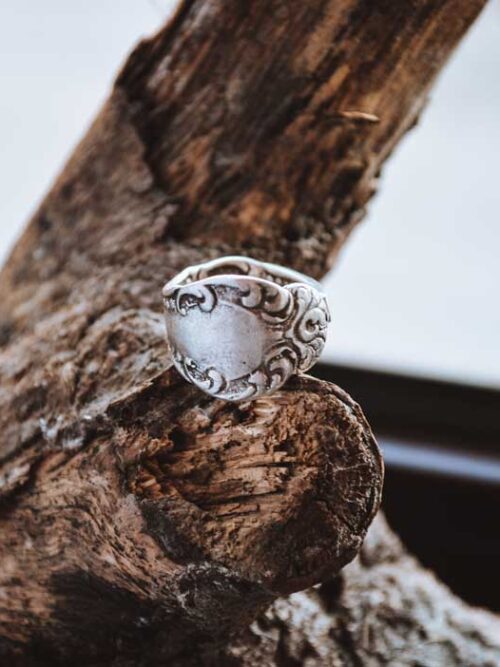 Anillo Scott
